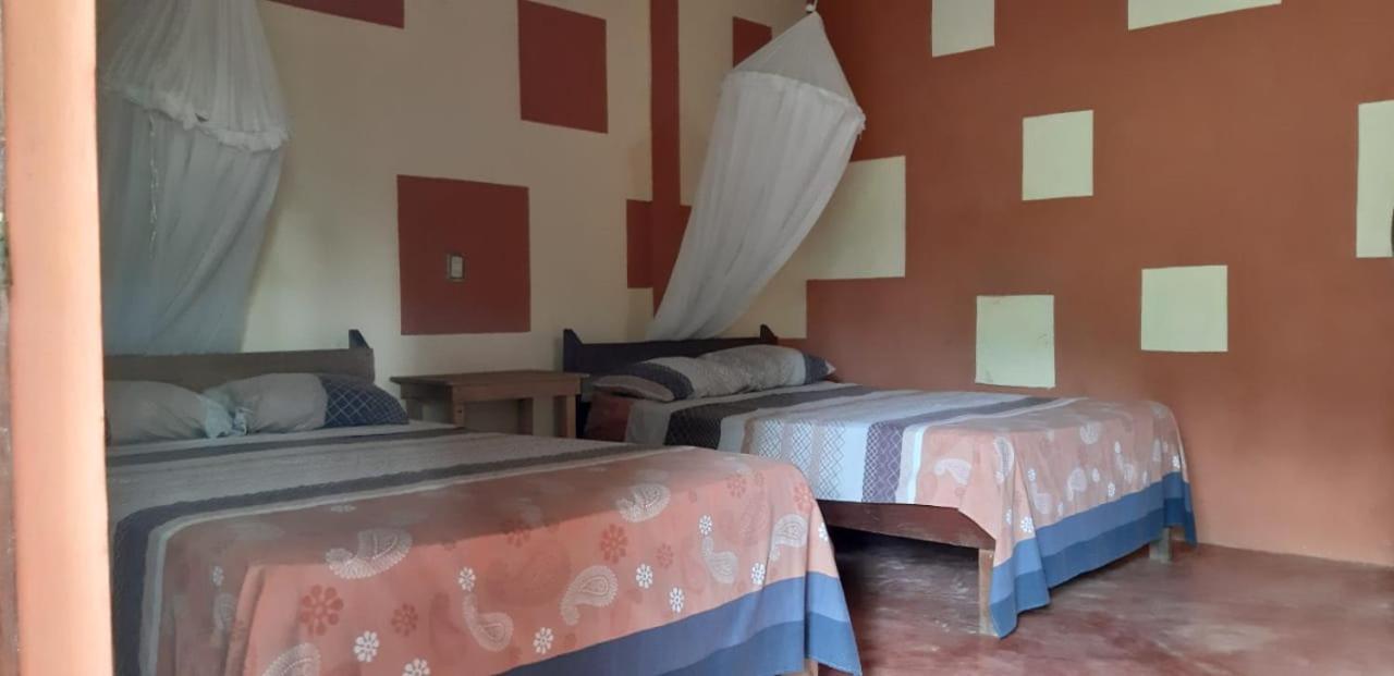 Centro Ecoturistico Ya'Ajche Hotell Lacanjá Exteriör bild