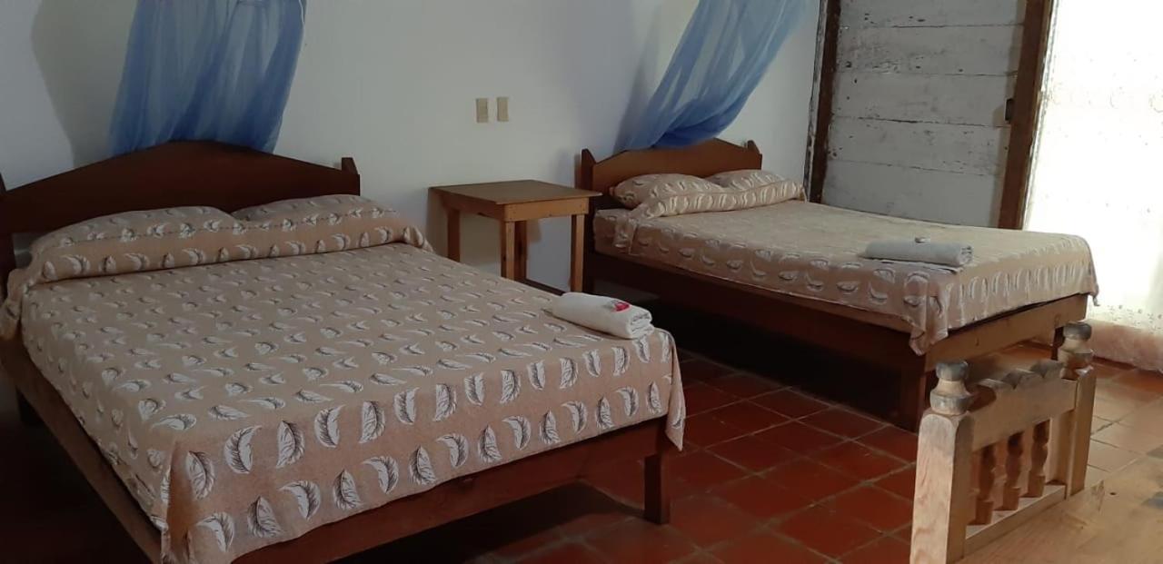 Centro Ecoturistico Ya'Ajche Hotell Lacanjá Exteriör bild