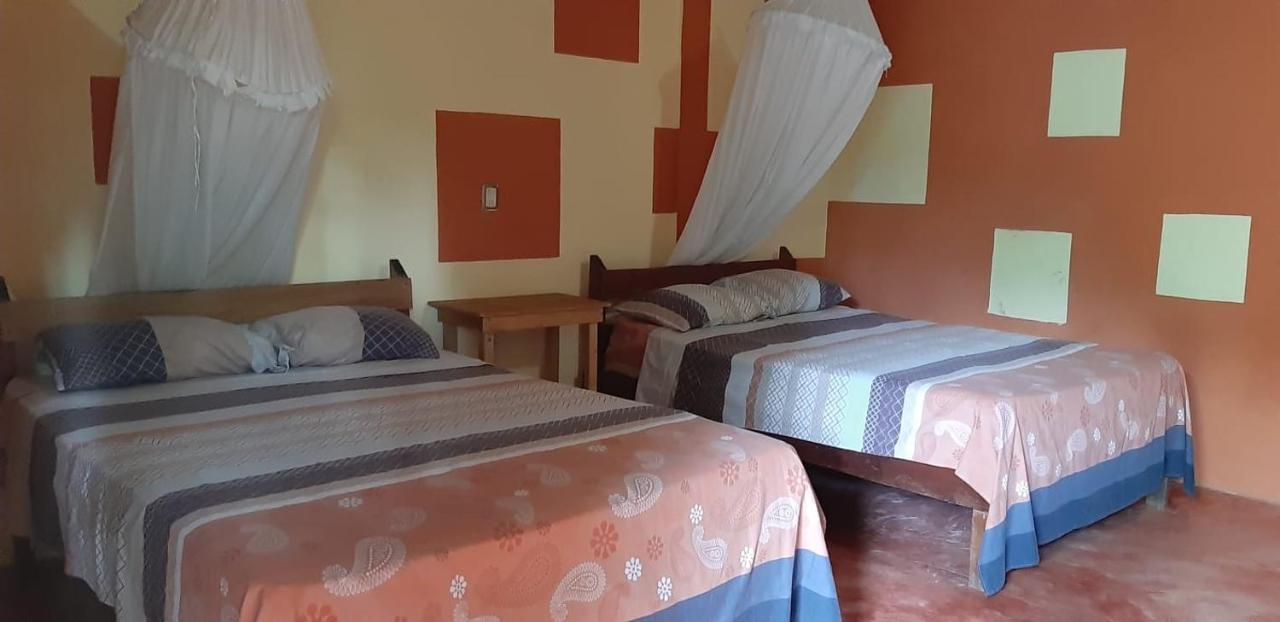 Centro Ecoturistico Ya'Ajche Hotell Lacanjá Exteriör bild